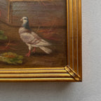 Vintage Poultry Oil Painting, Hand Painted Rooster and Dove Wall Art  46 × 36 cm - Vintage Oil Painting - Arden Gallery